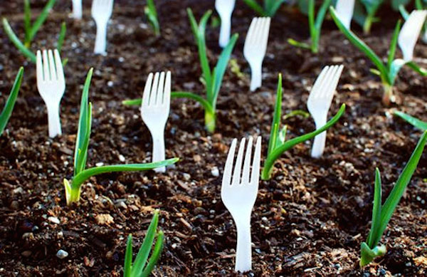 17 Clever Hacks for Your Vegetable Garden - Plant Forks in the Garden to Deter Pets and Animals