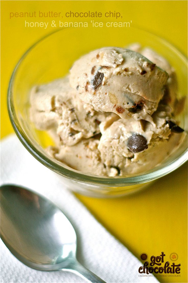50+ Best Ice Cream Recipes - Healthy Peanut Butter and Chocolate Ice Cream