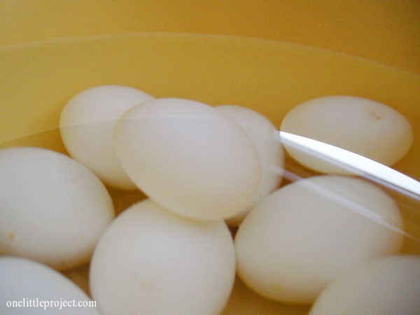 hard boiled eggs in cold water