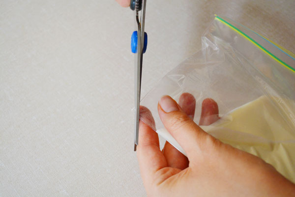 cut the corner off a zip lock bag instead of using a pasty bagDSC_1923