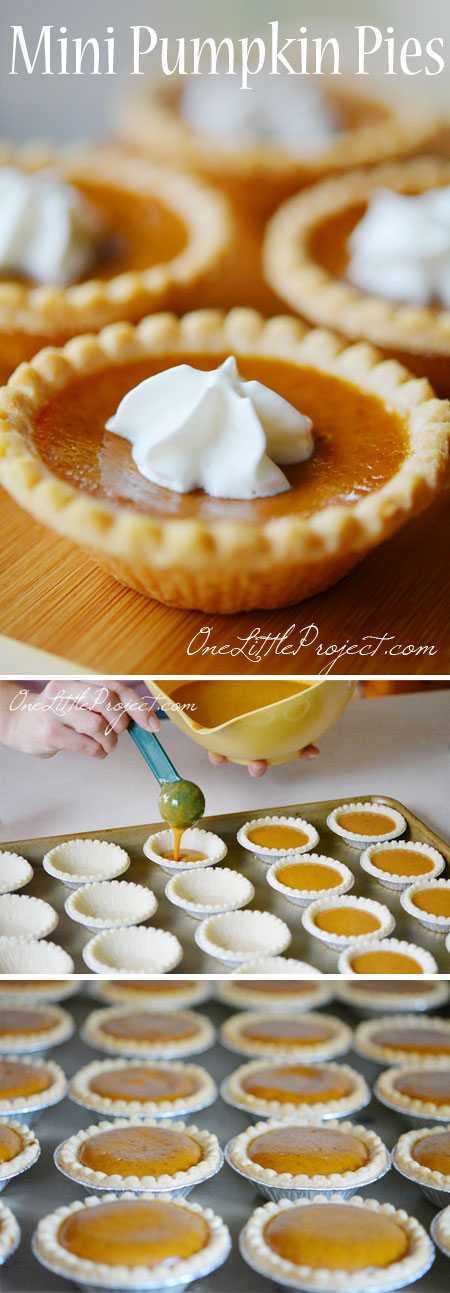 These mini pumpkin pies are so EASY and they taste amazing!! So awesome for when you've eaten a huge dinner and can't eat a full plate of dessert!