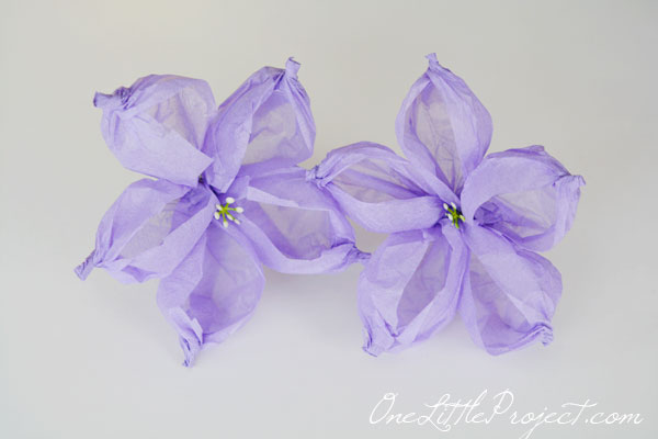 Here are step by step instructions to make tissue paper flowers that look just like balloon flowers. These are so pretty!