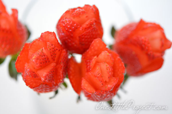 Strawberry Roses