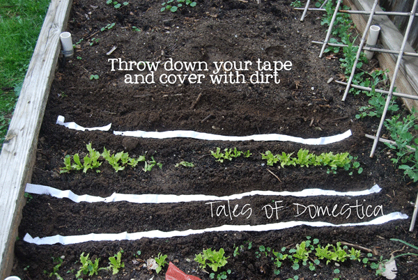 17 Clever Hacks for Your Vegetable Garden - Toilet Paper Seed Tape