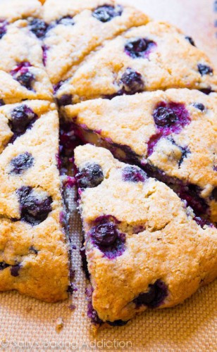 50+ Best Blueberry Recipes
