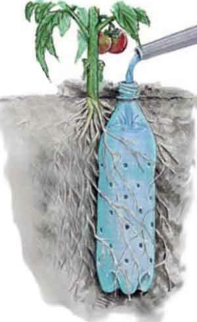 17 Clever Hacks for Your Vegetable Garden - Use a Water Bottle to Drip Water your Plants
