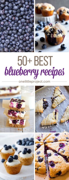 50+ Best Blueberry Recipes - I love fresh blueberries! These recipes look AMAZING!
