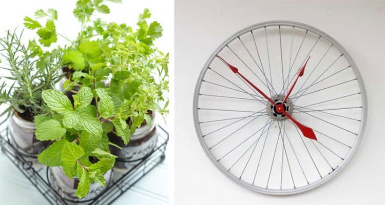 Eco-Friendly-Mother's-Day-Gifts
