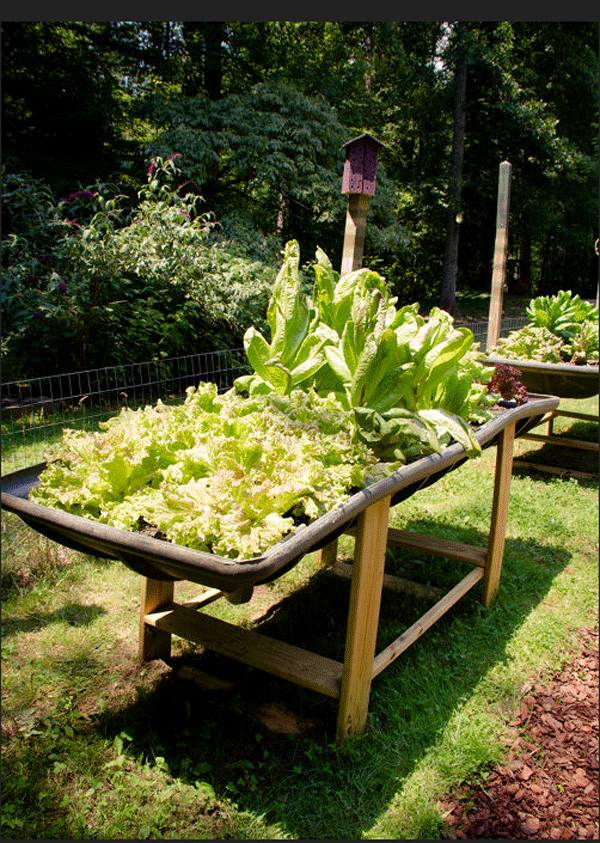 15 Unusual Vegetable Garden Ideas - Raised garden from re-purposed materials