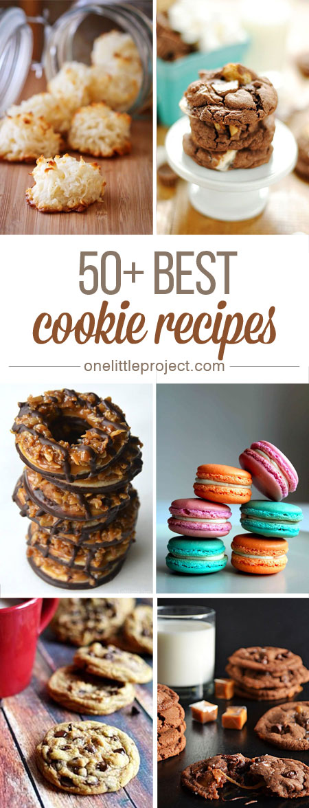 50+ Best Cookie Recipes - OMG I'm drooling! From classic chocolate chip cookies to coconut macaroons this list has you covered, no matter what your sweet tooth is craving!