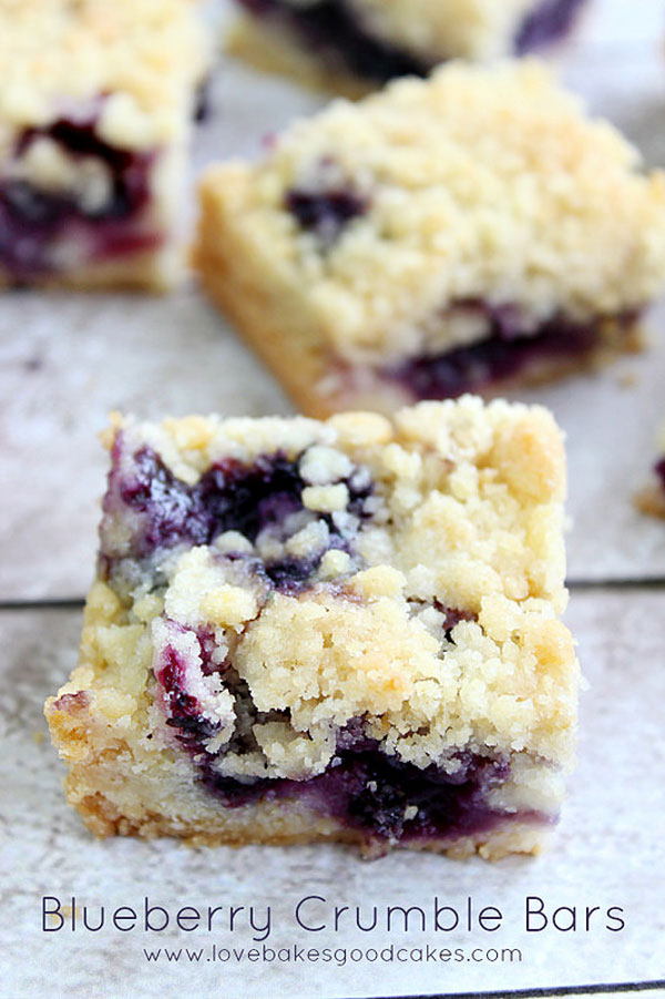 50+ Best Squares and Bars Recipes - Blueberry Crumble Bars