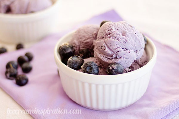 50+ Best Ice Cream Recipes - Blueberry Ice Cream