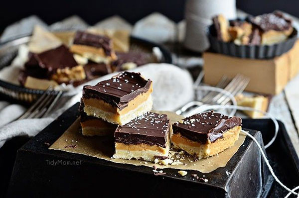 50+ Best Squares and Bars Recipes - Copycat Tagalongs Cookie Bars