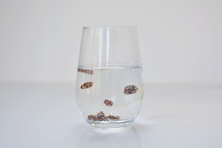 This dancing raisins experiment is so easy! And it really works! Check out the video!