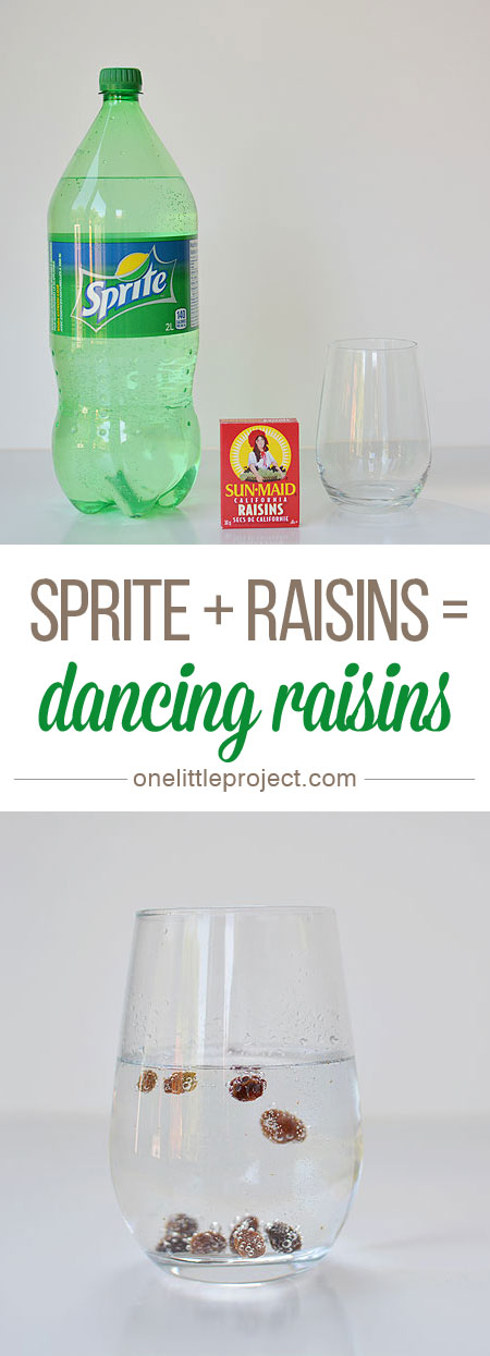 This dancing raisins experiment is SO EASY and it really works! There's a great video of it here. The raisins instantly start rising to the top and dancing up and down! 