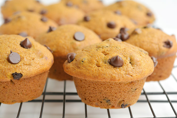 This recipe for chocolate chip pumpkin muffins is AMAZING! It's the perfect combination of pumpkin pie spice and moist, delicious, goodness!