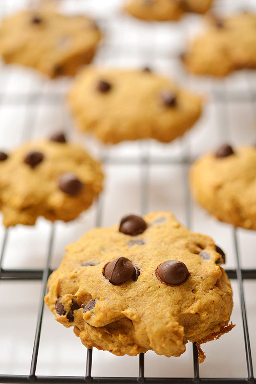 These pumpkin chocolate chip cookies are SO GOOD for a fall day! They are soft and moist and make the house smell sooooo good!