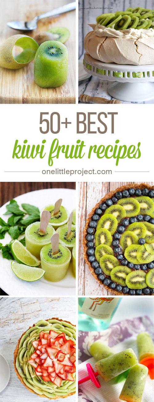 50+ Best Kiwi Recipes - I had no idea there were so many awesome kiwi recipes! These look AMAZING!