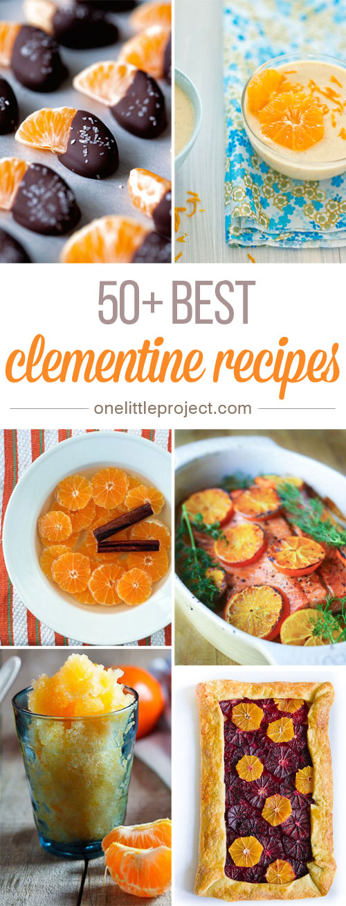 These clementine recipes look SO GOOD! I don't even know where to start! I had no idea there were so many different recipe ideas but they all look AMAZING!