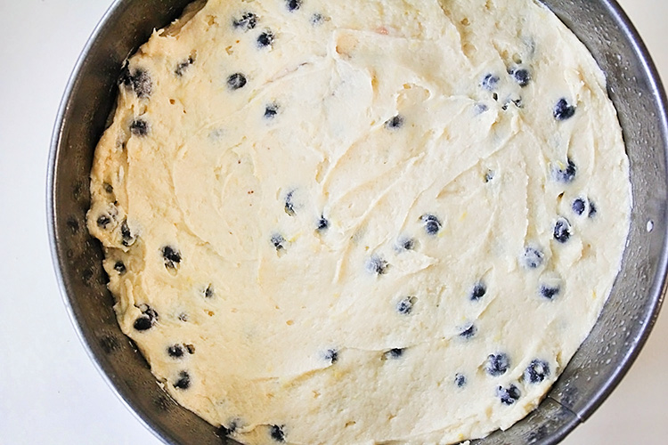 This delicious blueberry buttermilk breakfast cake is loaded with juicy blueberries and topped with a buttery streusel. Perfect for breakfast or anytime!