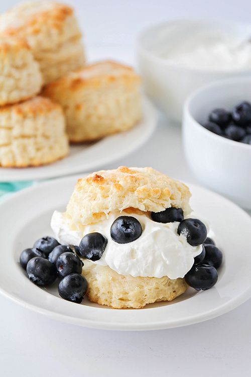 This simple blueberry shortcake is quick and easy to make, and has a delicious and tender biscuit base. Add some freshly whipped cream and fresh blueberries for the perfect summer dessert!