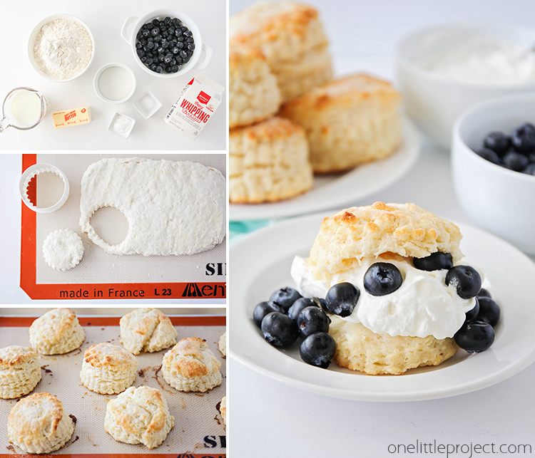 This simple blueberry shortcake is quick and easy to make, and has a delicious and tender biscuit base. Add some freshly whipped cream and fresh blueberries for the perfect summer dessert!