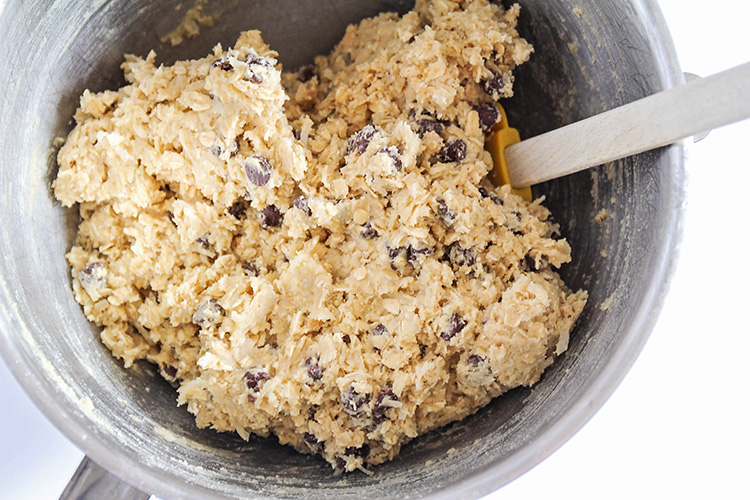 These chewy and sweet coconut chocolate chip oatmeal cookies are irresistibly delicious! They're quick and easy to make, and totally addicting!