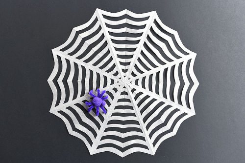 Paper Spiderweb