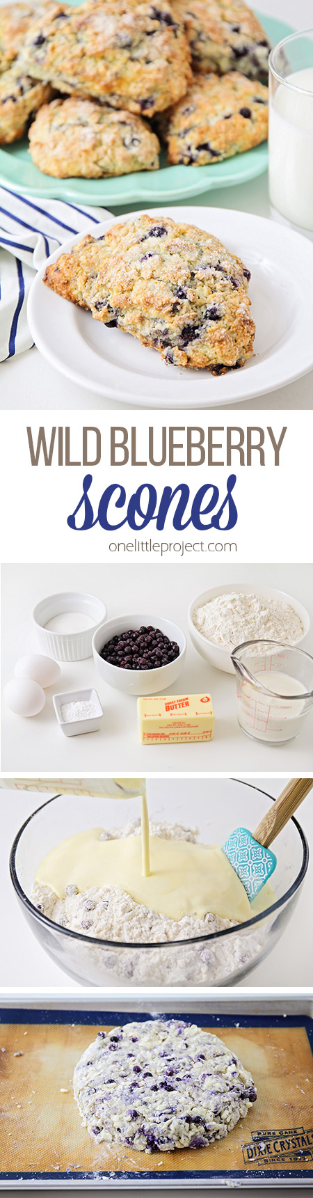 These wild blueberry scones are perfect for breakfast, brunch, or dessert! They're lightly sweetened, loaded with blueberries, and totally delicious!