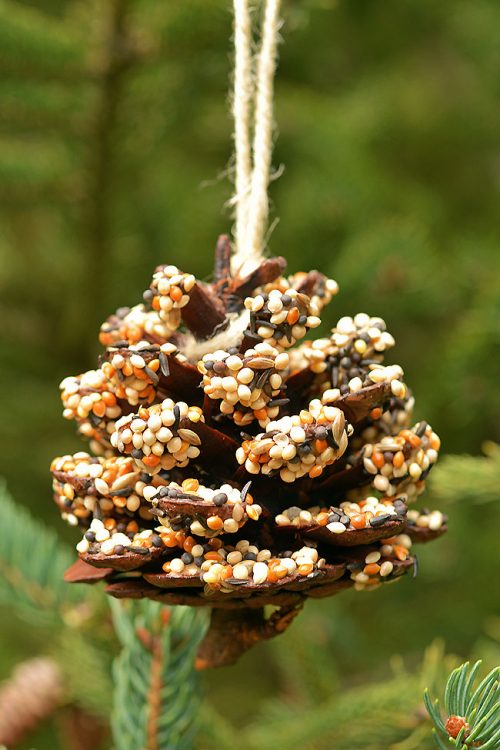 Christmas DIY Ornament Ideas - Pinecone Bird Feeder Ornament