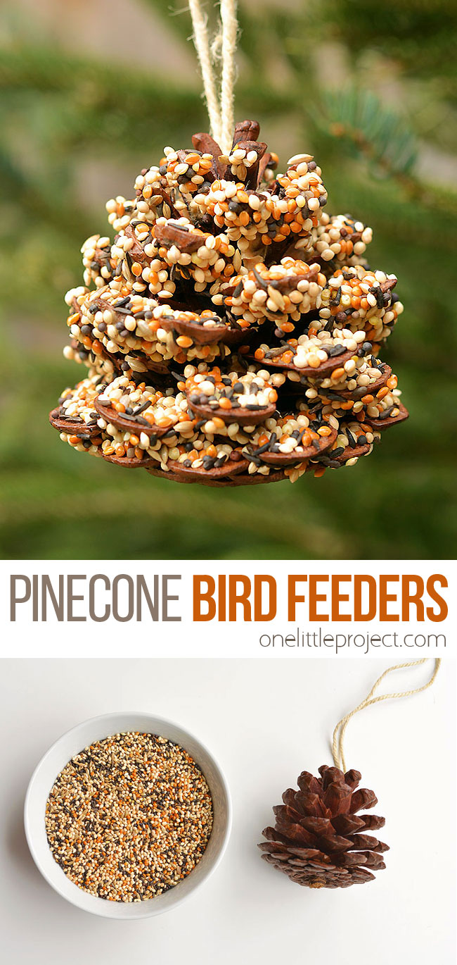 These pinecone bird feeders are SO PRETTY and they're so easy to make! With just a few simple supplies you can make one in less than 10 minutes! It's a great craft for kids, tweens, teens, adults, seniors and even in the classroom! It's so much fun to watch the birds it brings to the backyard! 