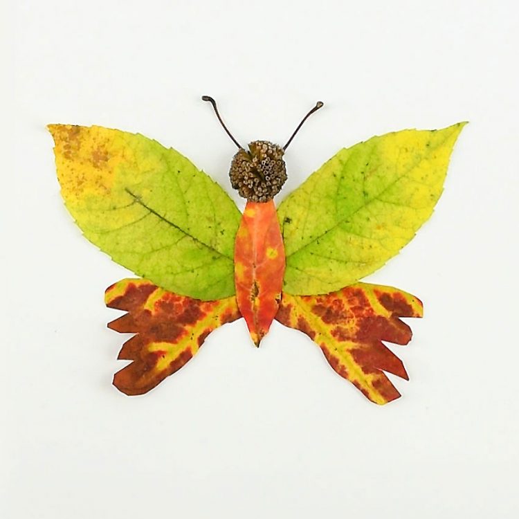 Autumn Leaf Butterflies and Dragonflies | Autumn Nature Craft