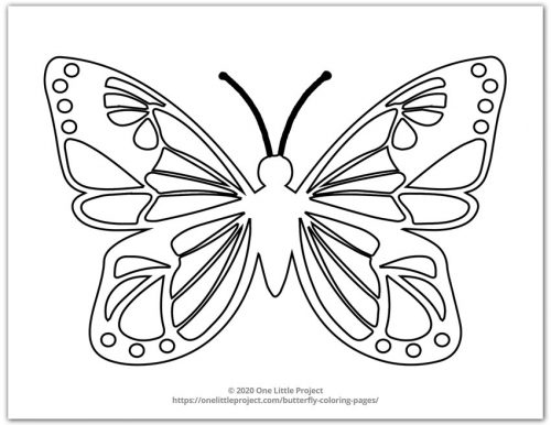 Butterfly Design 1