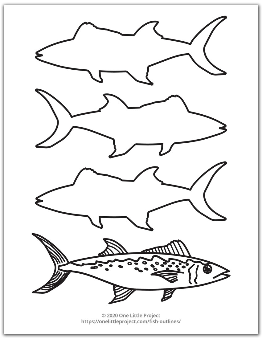 Fish Outline 6