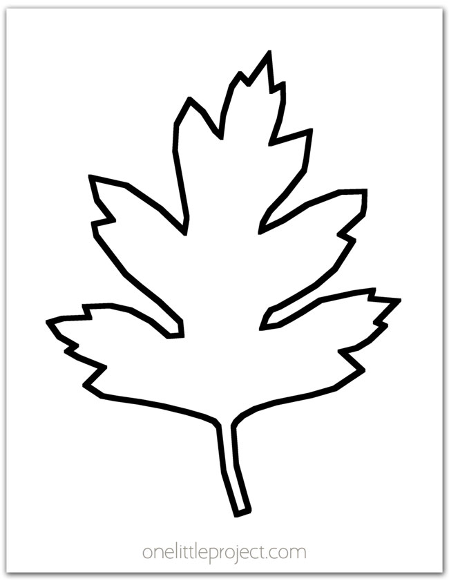 Hawthorn Leaf Outline