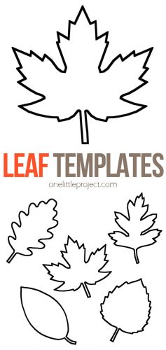 Leaf Template | Free Printable Leaf Outlines - One Little Project