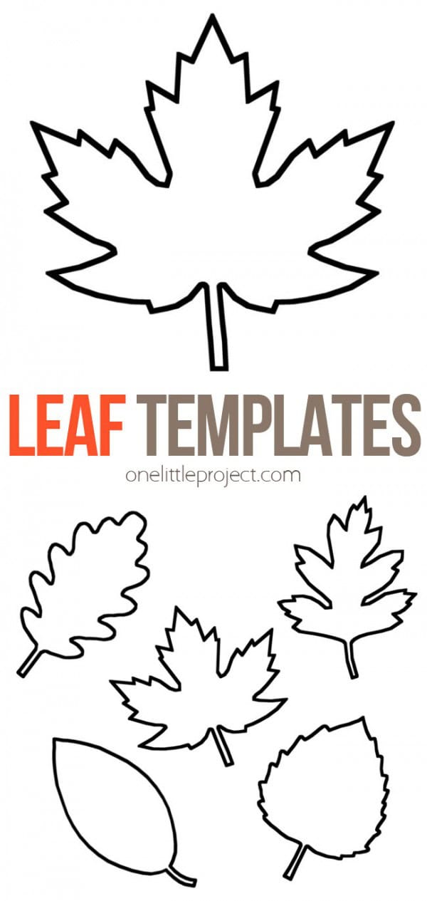 Leaf Shapes To Cut Out
