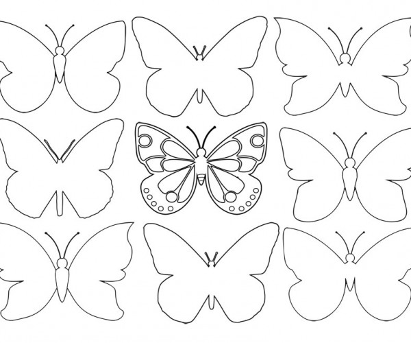 Many Butterfly Outlines