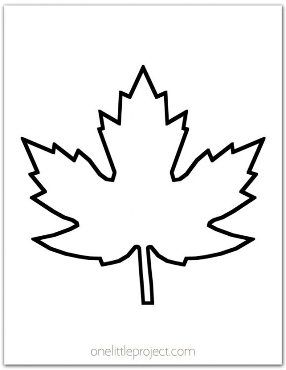 Maple Leaf Outline