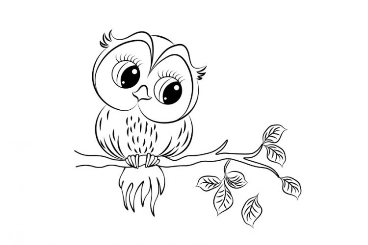 Owl Fall Coloring Page