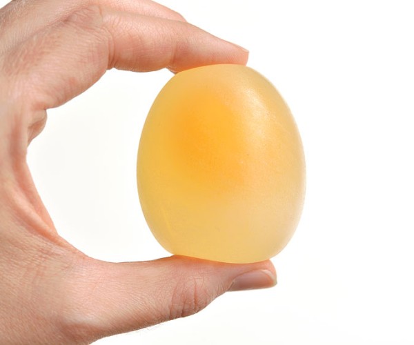 Egg in Vinegar Experiment