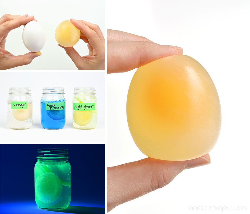 Collage of images showing the egg in vinegar experiment