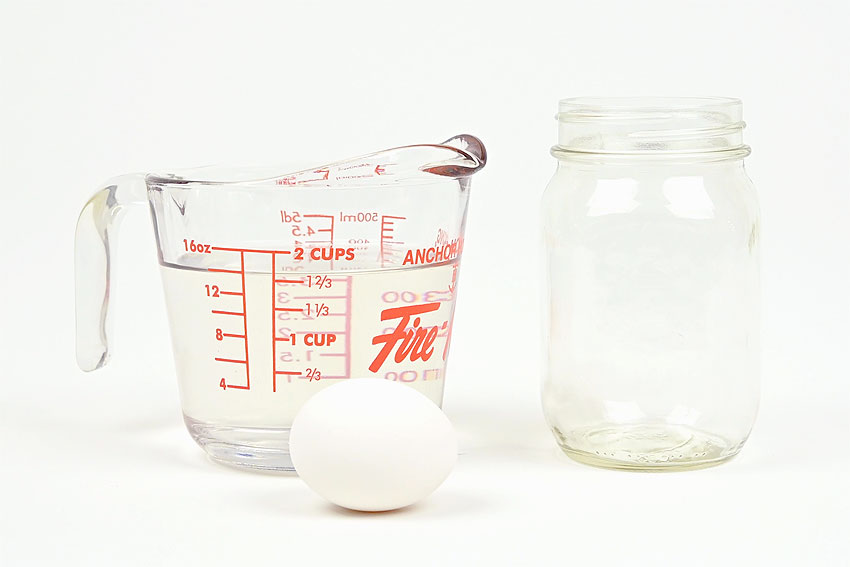 Supplies for doing the egg in vinegar experiment