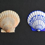 How to paint seashells with sharpies