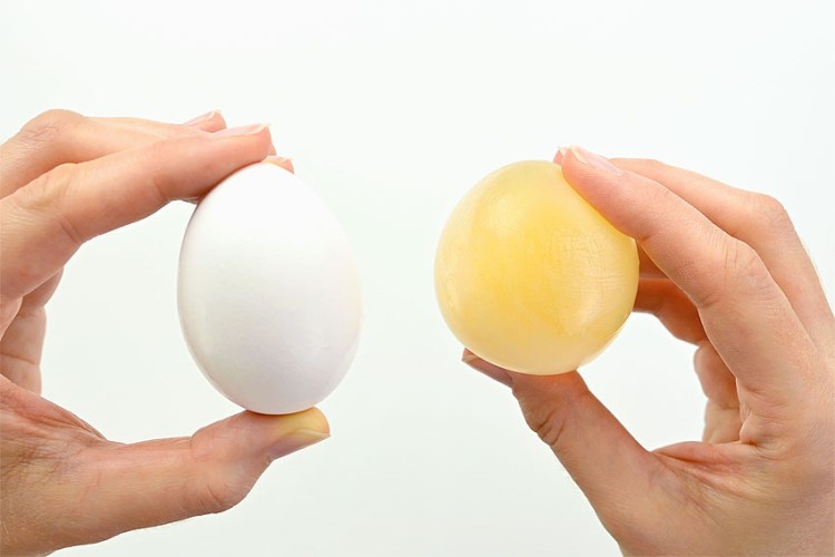 Naked egg in vinegar experiment