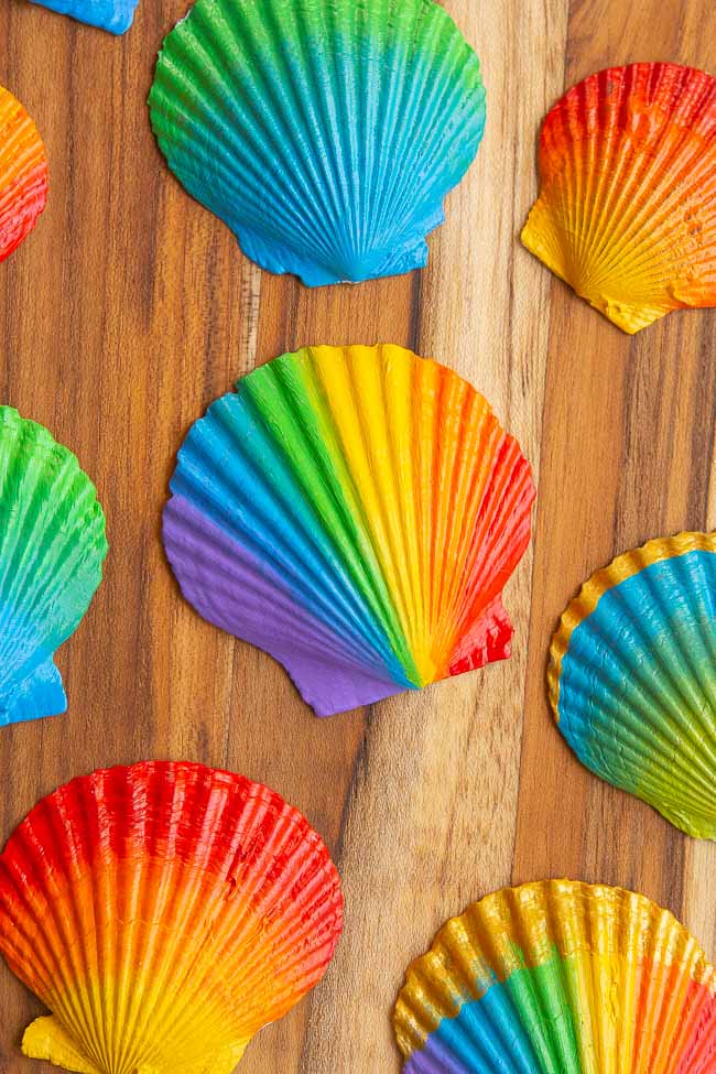 Rainbow seashell paintings on a wooden background