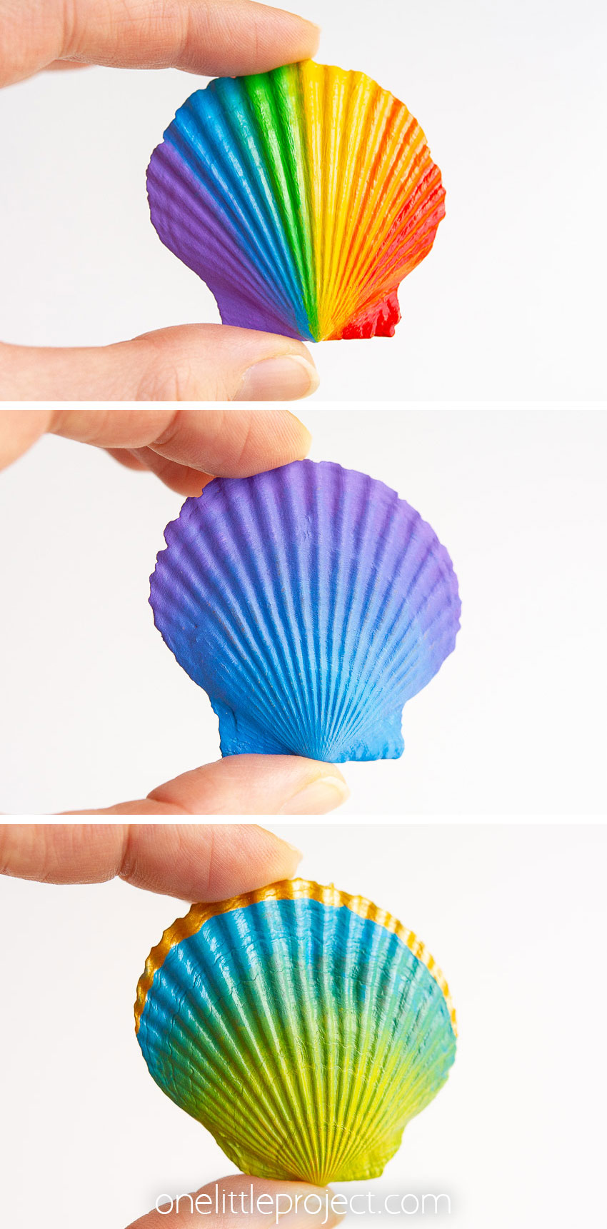 Three images showing a hand holding different seashells painted