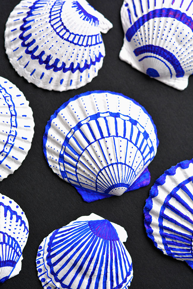 Sharpie seashells sitting on a dark background
