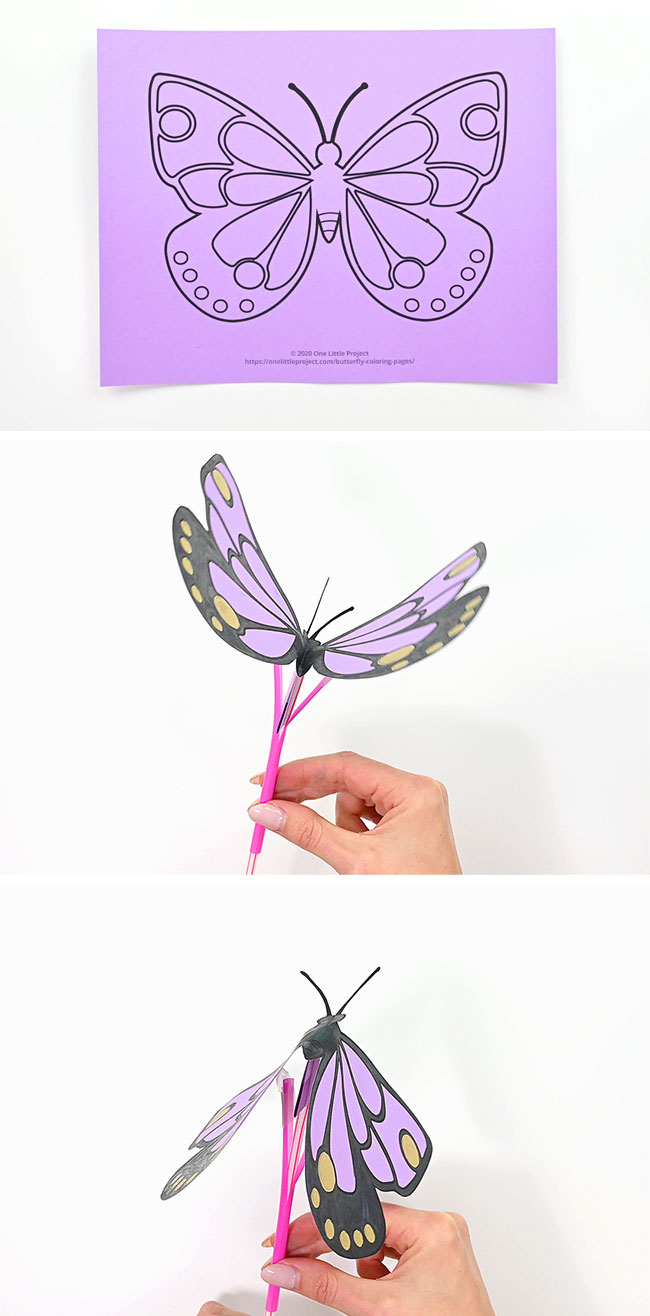Butterfly craft template in motion