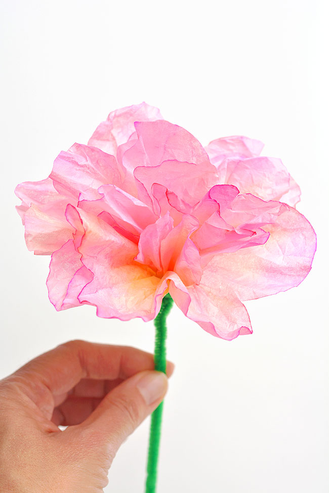 Pink coffee filter flower